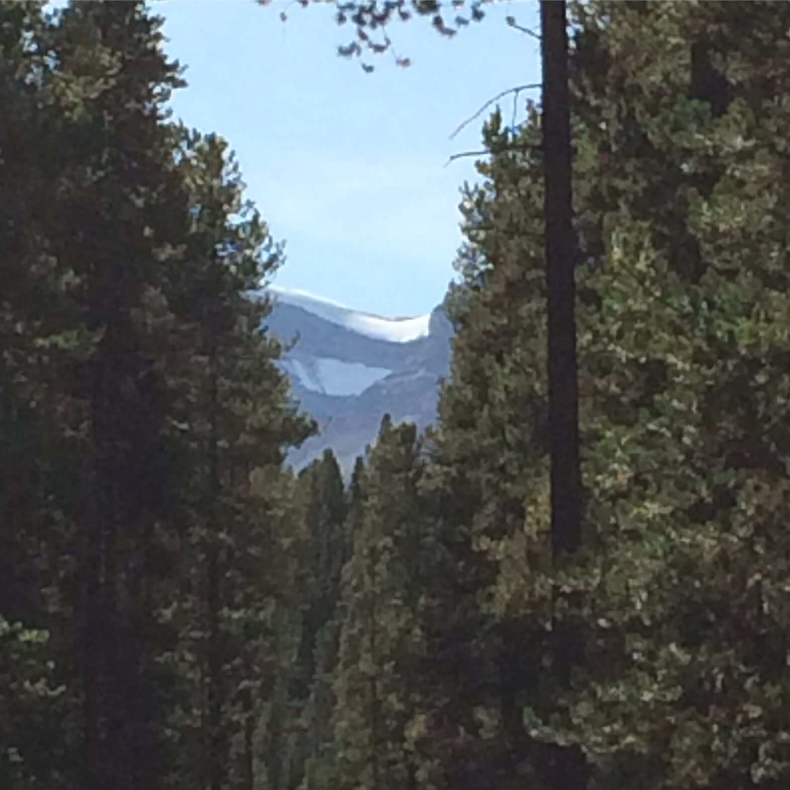 Mountain in Banff