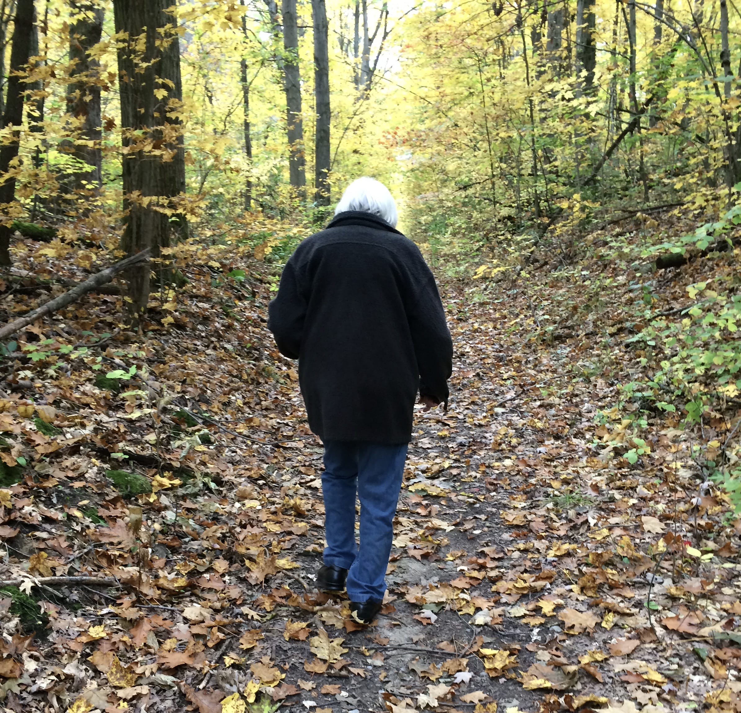 My Mother in the Woods