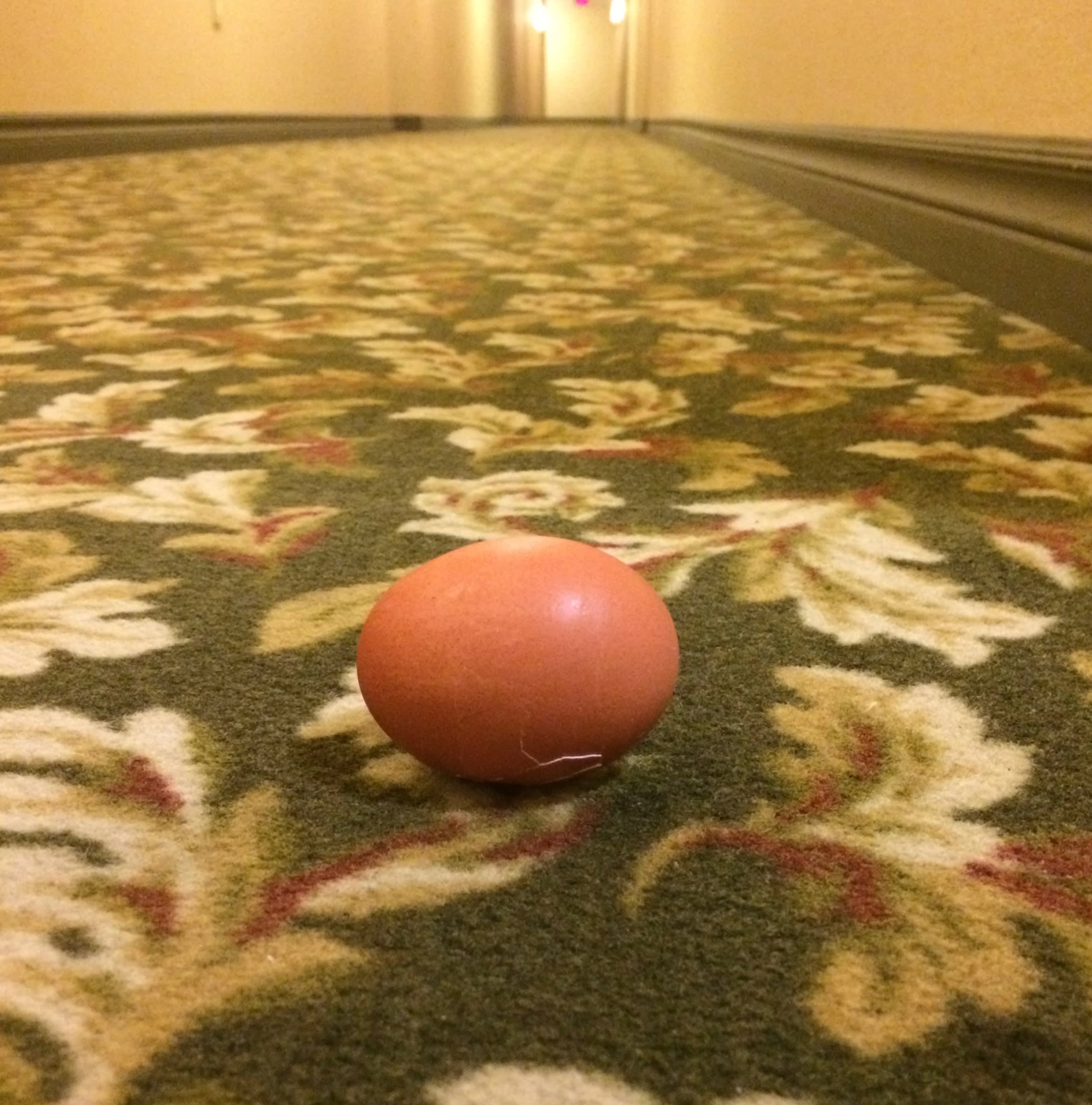 egg in hallway