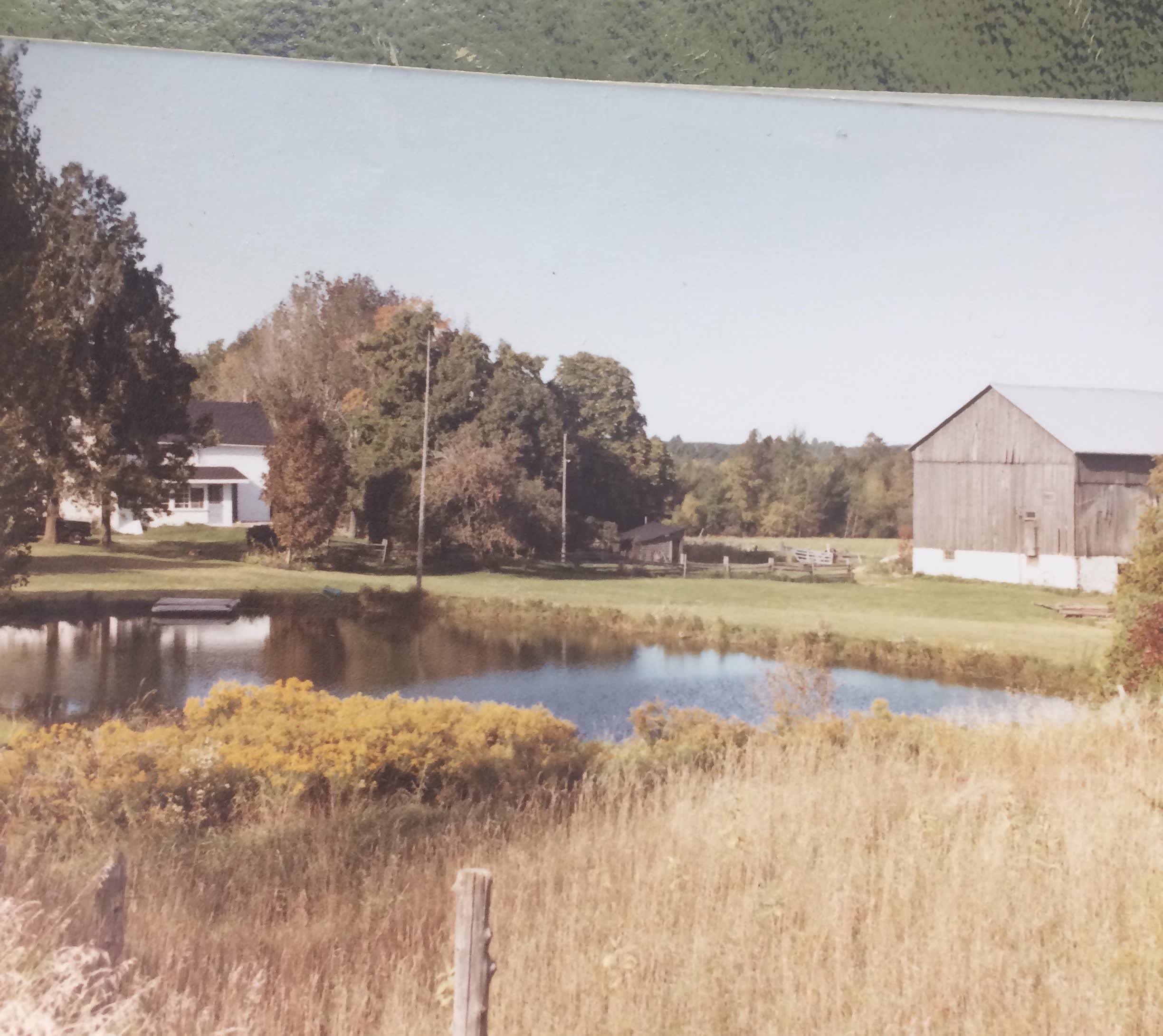 Spring Creek Farm