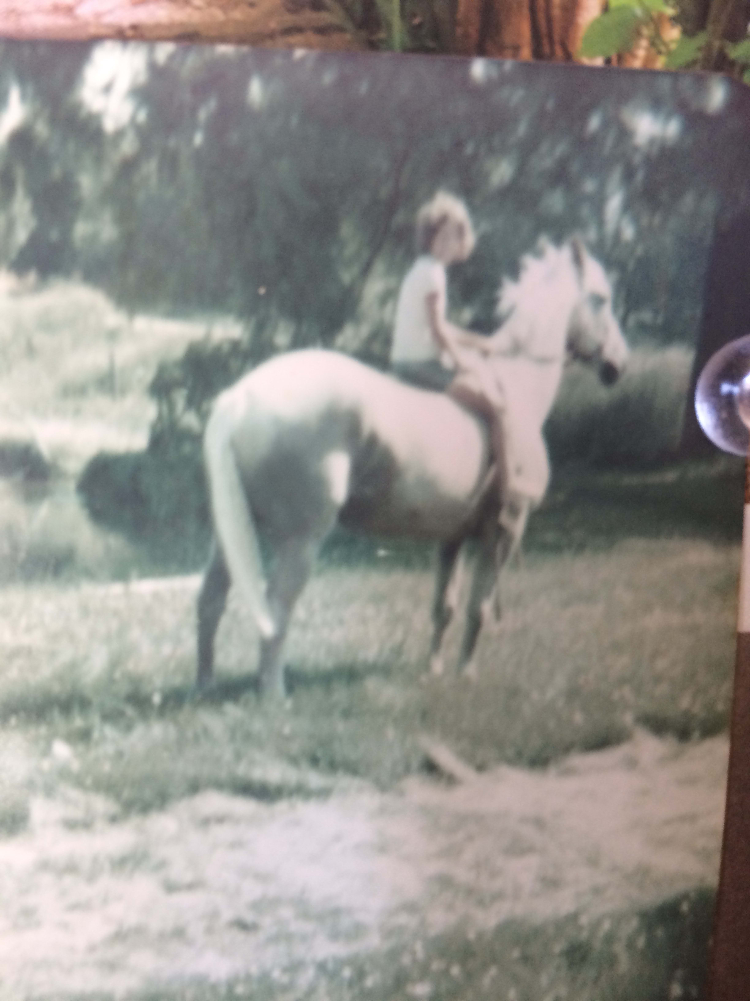 Suzanne on Buffy at Spring Creek Farm