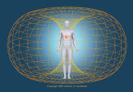 Energy of the human body