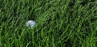 Golf ball found in spring