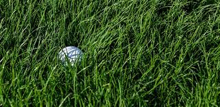 Golf ball found in spring
